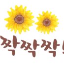 경기하나평생교육원 이미지
