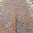 세신농장 이미지