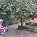 자연요양원 이미지