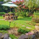 또하르네 이미지