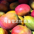 애플망고 이미지