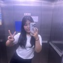 뽀숑폰 이미지