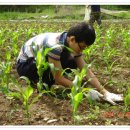 현근농장 이미지