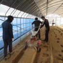 경기농장 이미지