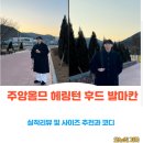 오누이안경 | 트렌디한 주앙옴므 해링턴 후드, 발마칸 실착 리뷰까지 해보았어요