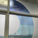 세무법인도담강남VIP센터