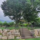 쥬쥬키즈풀빌라펜션 이미지