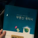 다드림 | 신혼집 내돈내산😃 + 부산 다드림조명 추천(51패키지 후기)