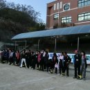 돼지개띠 이미지