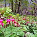 성구농장 이미지