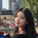 타이거버스투어
