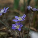 기운농장 이미지