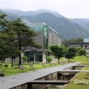 동국대학교 이미지