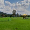 “어르신들 파크골프로 건강 챙기세요” 이미지