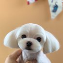 미용타운 이미지