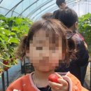 충효태권도(한들물빛관) | 충효태권도 한들물빛관은 아산태권도 중에서도 아이들에게 인기좋은 이유가 있어요.^^
