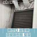 대도유리페인트 | 베란다 곰팡이 박멸! 탄성코트 제거 후 결로방지페인트 시공