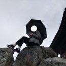 대전 단풍명소: 보문산 시루봉~보문산성 혼자 오르기 feat.레드페이스 콘트라 프라임 등산화