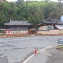 신라건강원