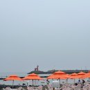 달포차 | 제주 야장 핫플 : 1년 중 딱 두 달만 열리는 '이호테우 해변포차' 1열 명당 7월 방문 후기