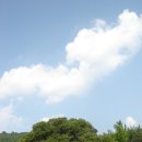 무릉리-11 이미지