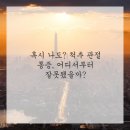 척추가 중심 이미지