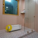 가평듀크하우스키즈가족펜션 이미지