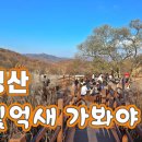 숲속 힐링이야기 이미지