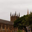 시드니(1) 이미지