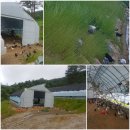 숲속청계농장 이미지