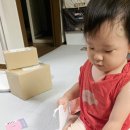 단비공원 화장실 | 유아변기 추천 유온미 루켓 휴대용변기 배변훈련 솔직 후기