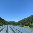 선주농장 이미지