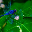 오산중앙약국 이미지