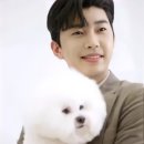 인디안광고 이미지