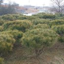 여주-0102 이미지