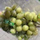 삼구저울 이미지