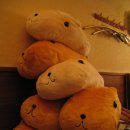샾인형뽑기 Daum카페