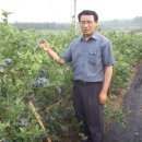 경기종묘농자재 이미지