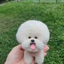 별테라피