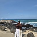 휘게호텔 | [제주] 서귀포가성비호텔, 가성비감성숙소, 오션뷰, 호텔수영장, 킨포크, 서귀포시 &#34;휘게호텔&#34;