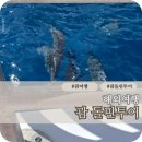 괌 돌핀투어 현지예약 꿀팁 에메랄드밸리 후기