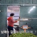 희영농장 이미지