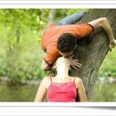 곤드레사랑 이미지