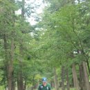 [대명변산리조트]변산반도/내소사/격포항수산시장/변산반도여행코스