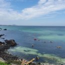 우돈목장 이미지