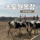 크로바목장 | 용인 농도원목장 찐후기 I 예약꿀팁방법부터 실제로 다녀온 후기, 준비물까지 아기랑가볼만한곳