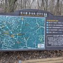 돌리네시골집 | 쌍령지맥(雙嶺枝脈) 01구간 안성 쌍령산(雙嶺山 502.4) 2026. 04. 07.