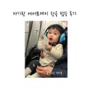 케이프로모션 | 돌 아기랑 대만 여행 에어로케이 탑승 후기 최저가 항공권 검색 꿀팁