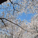 우시장천 이미지