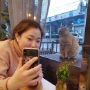 모베러에스프레소